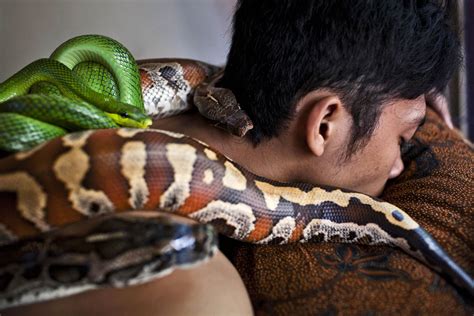 Sexuelle Massage Schlangen